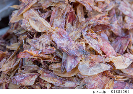 Dried squid for food at Mahachai market sea food Dried squid for food at Mahachai market sea food 31885562