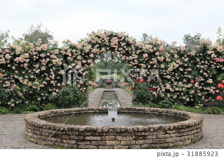 東武トレジャーガーデン 入口近くの噴水とバラの壁の写真素材