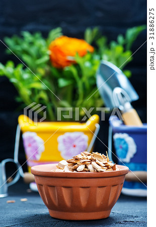 garden supplies 31886275