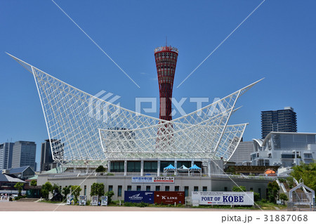 青空の下のメリケンパーク 31887068