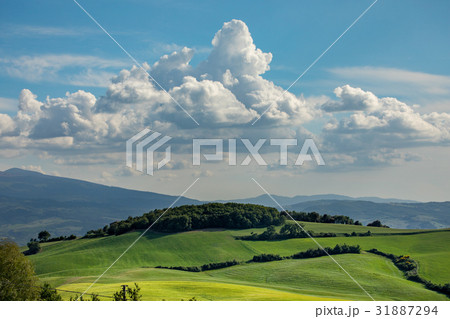 Tuscany scenery, Italy 31887294