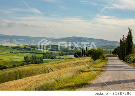 Tuscany scenery, Italy Tuscany scenery, Italy 31887296