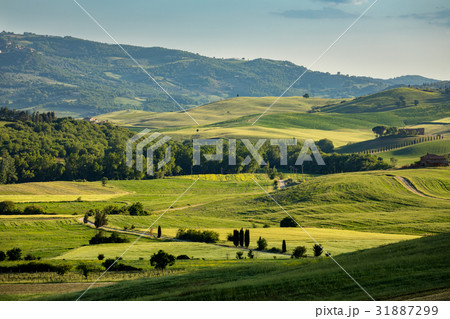 Tuscany scenery, Italy Tuscany scenery, Italy 31887299