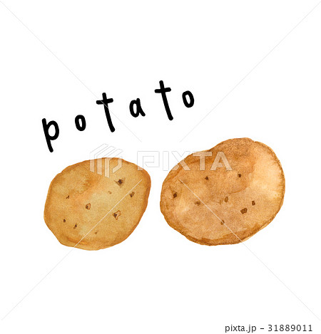 Potatoジャガイモの水彩イラストのイラスト素材 31889011 Pixta