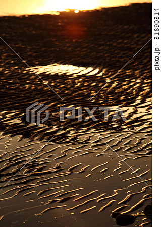 夕日を浴びる新舞子浜の砂紋 31890314