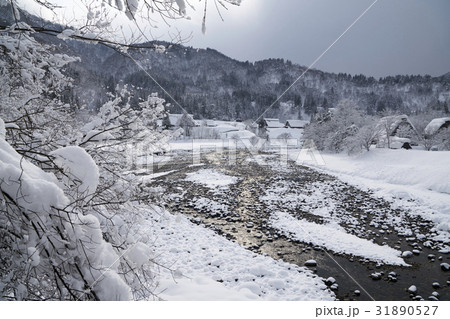 Shirakawa-go Village Shirakawa-go Village 31890527