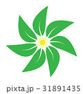 Mandala of leaves 31891435