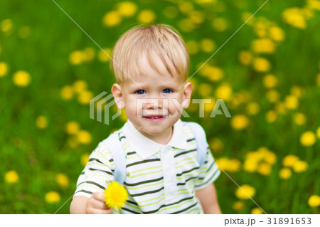 Smiling boy in dandelion meadow 31891653
