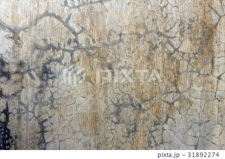 Aged cracked concrete stone plaster wall Aged cracked concrete stone plaster wall 31892274