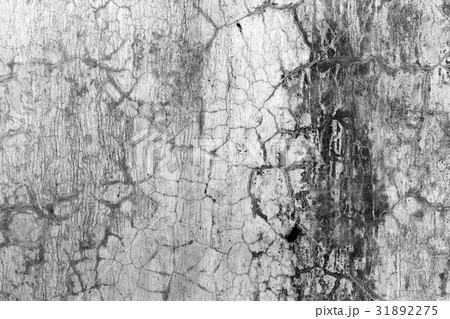 Aged cracked concrete stone plaster wall Aged cracked concrete stone plaster wall 31892275