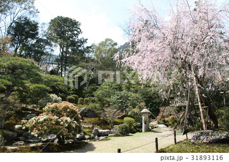 旧竹林院庭園 31893116