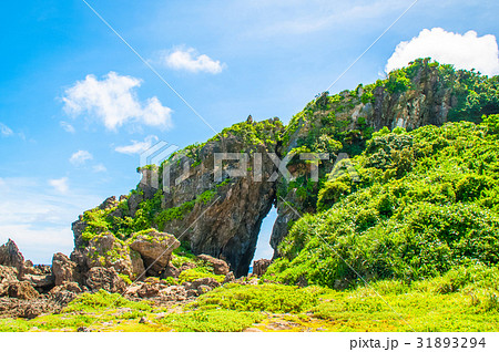 ミーフガー 31893294