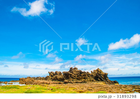 ミーフガー 31893298