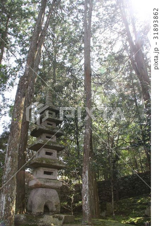 旧竹林院庭園 31893862