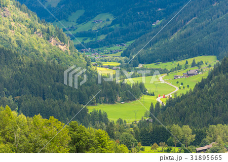 Traditional houses in Alps 31895665