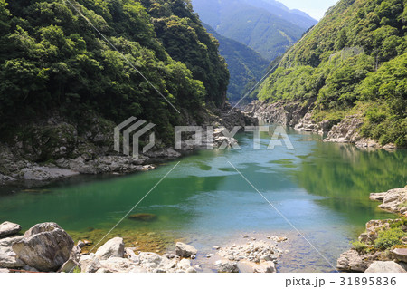 徳島県三好市　小歩危峡 31895836