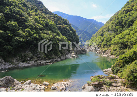 徳島県三好市　小歩危峡 31895839