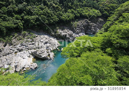 徳島県三好市　小歩危峡 31895854