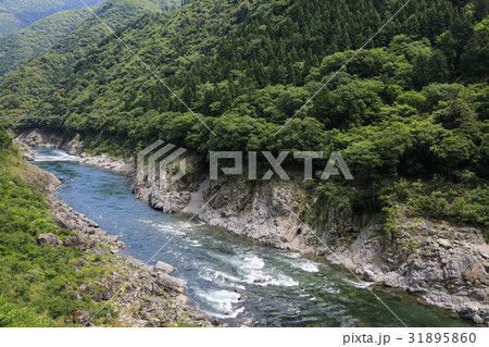 徳島県三好市　小歩危峡 31895860