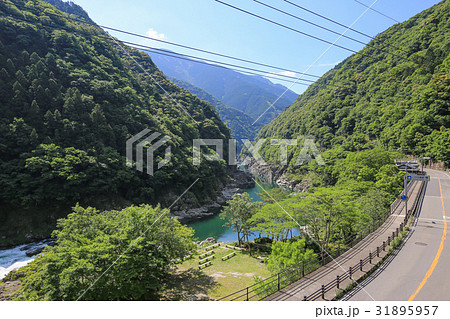徳島県三好市　小歩危峡展望台からの風景 31895957