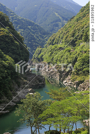 徳島県三好市　小歩危峡展望台からの風景 31895962