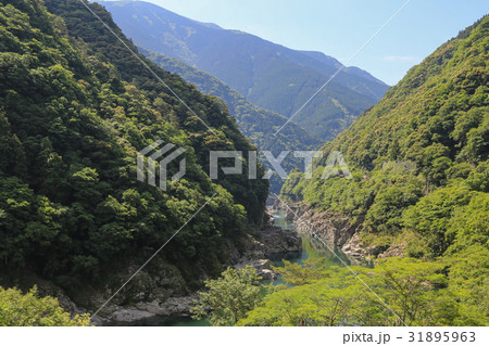 徳島県三好市　小歩危峡展望台からの風景 31895963