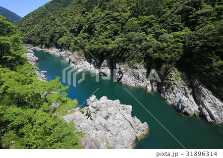 徳島県三好市　大歩危峡 31896314