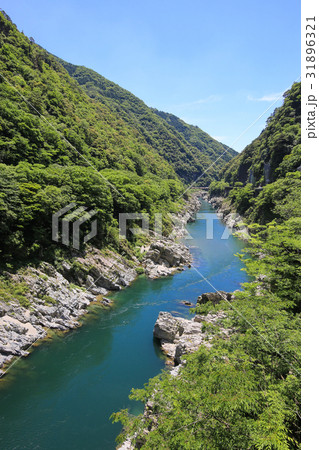徳島県三好市 大歩危峡 徳島県三好市 大歩危峡 31896321