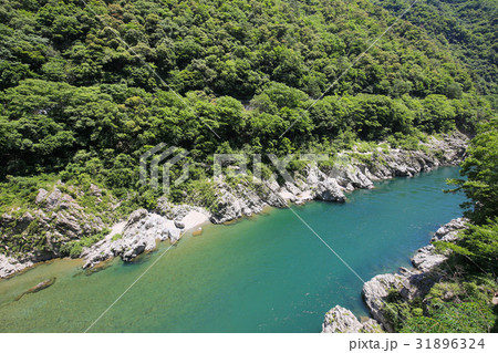 徳島県三好市 大歩危峡 徳島県三好市 大歩危峡 31896324