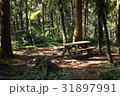 林 森 樹林 31897991