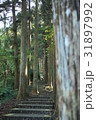 林 森 樹林 31897992