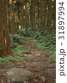 林 森 樹林 31897994