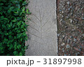 葉 リーフ 葉っぱ 31897998