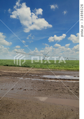 Mud in field with watering system Mud in field with watering system 31898326