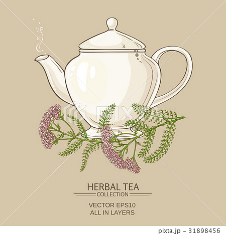 yarrow tea in teapot 31898456