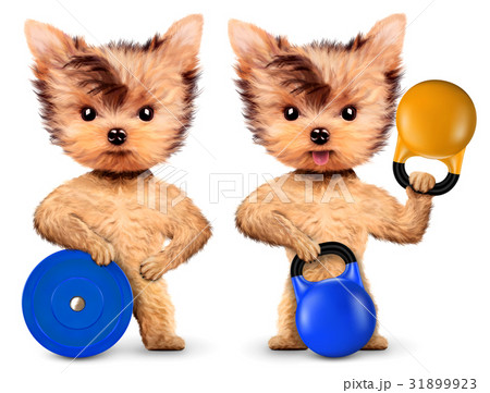 Funny dog holding sport equipment 31899923