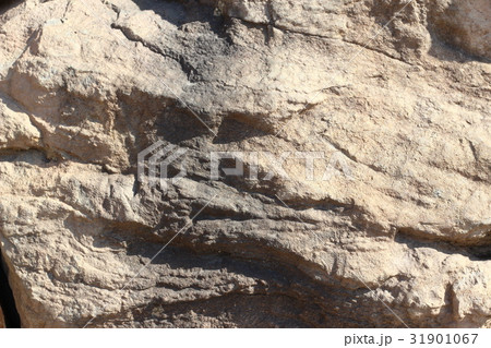 荒い岩肌 31901067