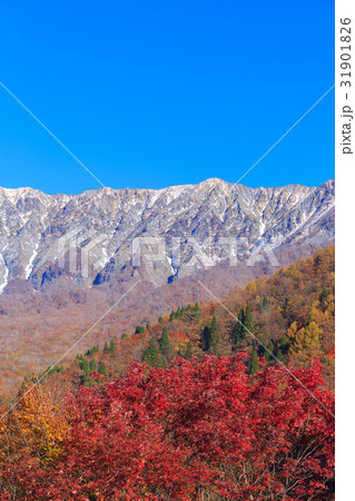 秋の大山 鍵掛峠 秋の大山 鍵掛峠 31901826
