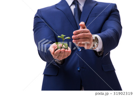 Businessman holding green sprouts isolated on 31902319