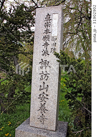 安養寺 安養寺 31902902