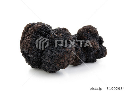 Black truffles on white. 31902984