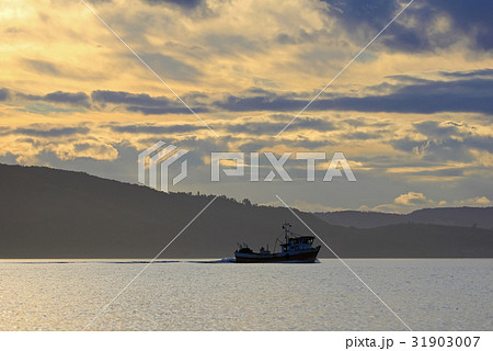 Carrier ship at sunset in the sea, Chiloe Island Carrier ship at sunset in the sea, Chiloe Island 31903007