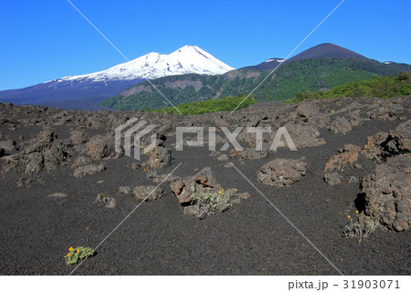 Snow capped peak of Volcano Llaima, Conguillio Snow capped peak of Volcano Llaima, Conguillio 31903071