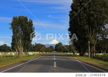 Road leading to Osorno Volcano, Patagonia, Chile 31903078