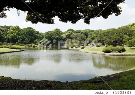 大泉水(六義園:本駒込) 大泉水(六義園:本駒込) 31903333