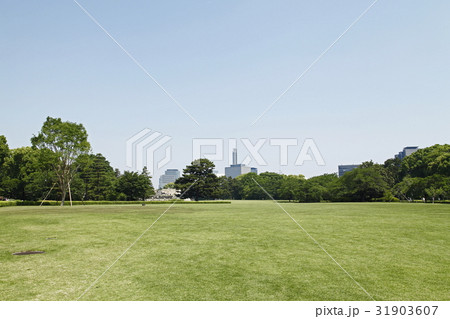 本丸大芝生（皇居：皇居東御苑） 31903607
