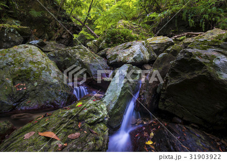 渓流、風景、沖縄。 31903922