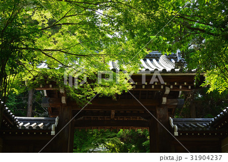 新緑の京都　嵐山法輪寺 31904237