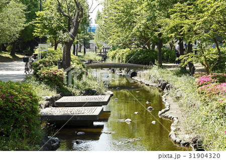 大横川親水河川公園 31904320