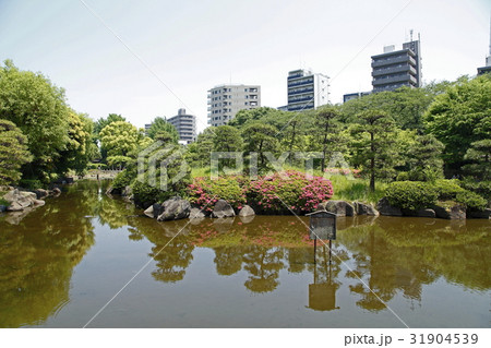 隅田公園(向島) 隅田公園(向島) 31904539